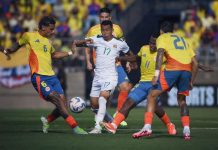 Una triste, muy triste selección