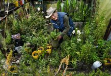 «Cultivar esperanza»: un cortometraje celebra 10 Años de agricultura urbana en el Huerto Orgánico Lak’a Uta