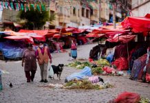 La sociedad civil advierte que la seguridad alimentaria está en riesgo y propone al Estado diez acciones prioritarias